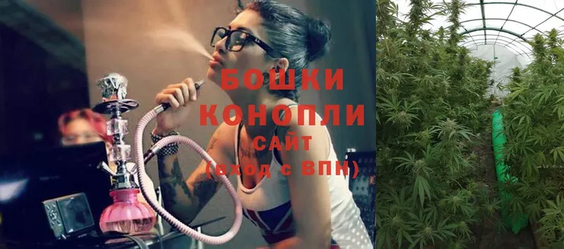 где продают наркотики  Нерчинск  Канабис White Widow 